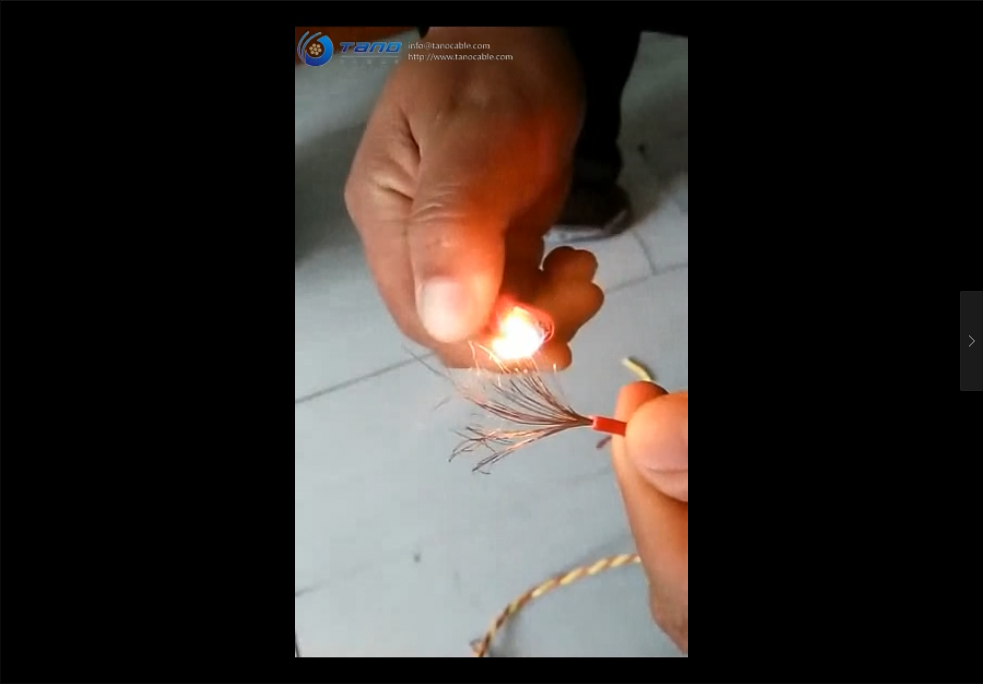 Fire-resistance cable test