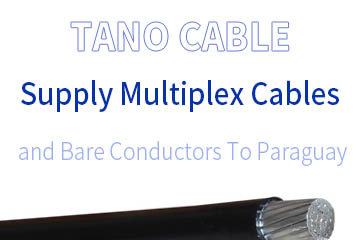 Suministro de cables multiplex y conductores desnudos a Paraguay